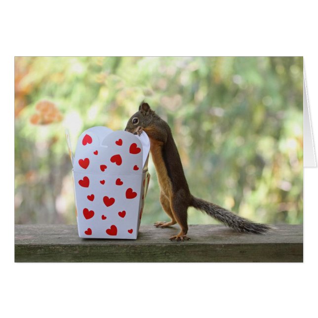 Squirrel Looking Inside Heart Box (Front Horizontal)
