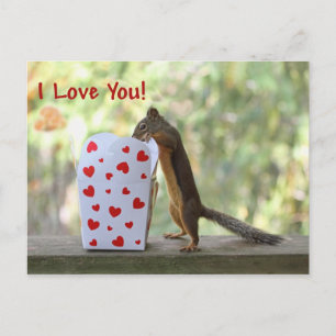 Squirrel Looking Inside Heart Box, "I Love You" Postcard