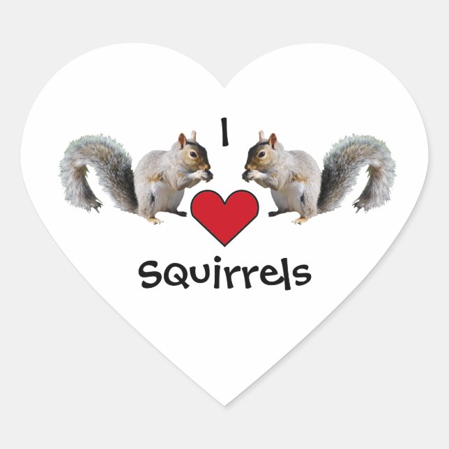 Squirrel Love Heart Sticker (Front)