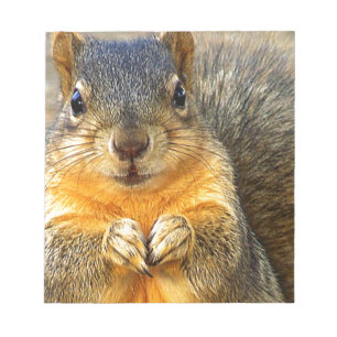 Squirrel Love_ Notepad