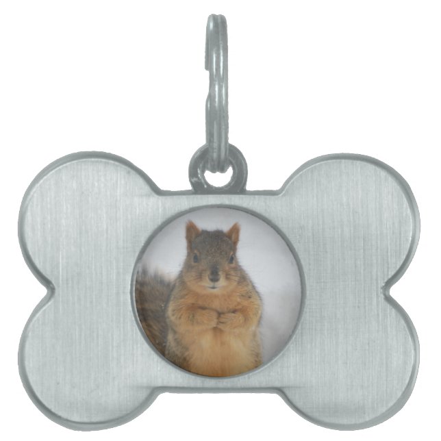Squirrel Love Pet Name Tag (Front)