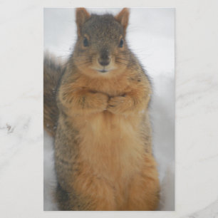 Squirrel Love Stationery