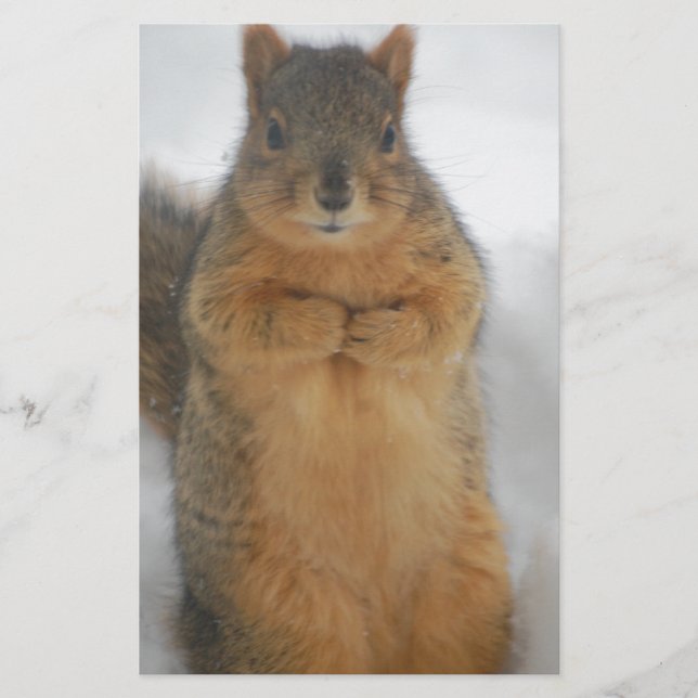 Squirrel Love Stationery (Front)