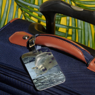 Squirrel  luggage tag