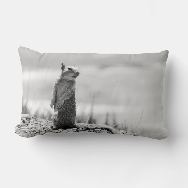 Squirrel Lumbar Cushion (Front)