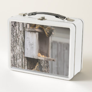 Squirrel Lunch Box