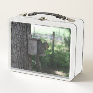 Squirrel Lunch Box