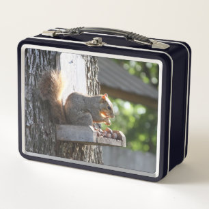Squirrel Lunch Box