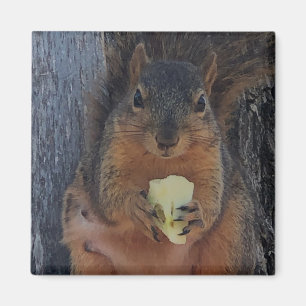 Squirrel magnet