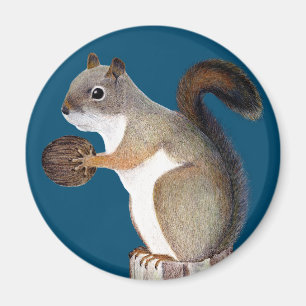 Squirrel Magnet