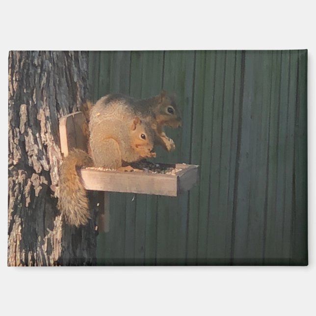 Squirrel Magnet (Front)