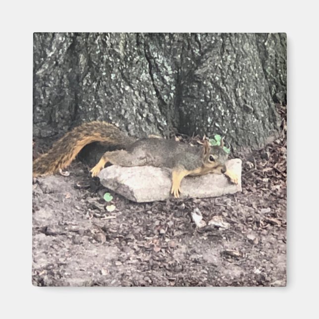 Squirrel Magnet (Front)