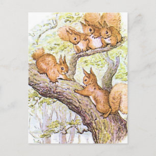 Squirrel Meeting Postcard