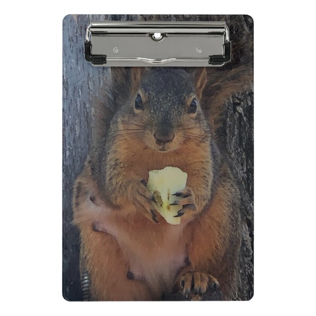 Squirrel Mini Clipboard (Front)