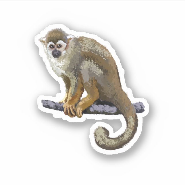 Squirrel Monkey (Front)
