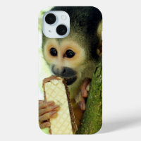 Squirrel Monkey Eating a Wafer Biscuit
