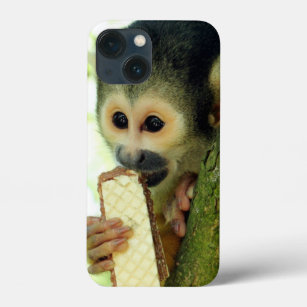 Squirrel Monkey Eating a Wafer Biscuit iPhone 13 Mini Case