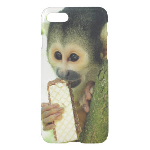 Squirrel Monkey Eating a Wafer Biscuit iPhone SE/8/7 Case