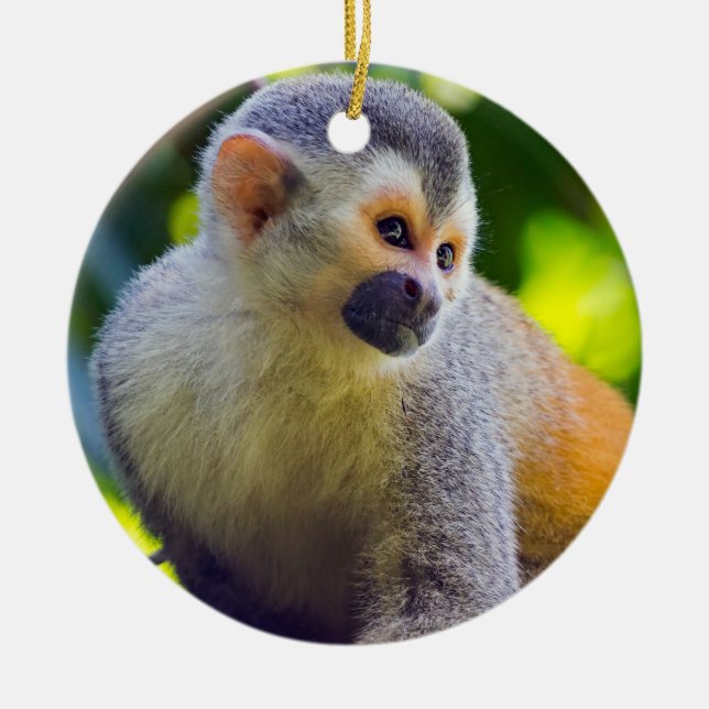 Squirrel monkey in Manuel Antonio NP - Costa Rica Ceramic Ornament (Front)