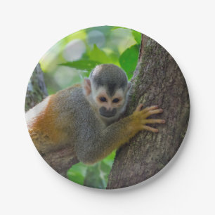 Squirrel monkey in Manuel Antonio NP - Costa Rica Paper Plate