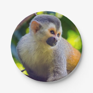 Squirrel monkey in Manuel Antonio NP - Costa Rica Paper Plate