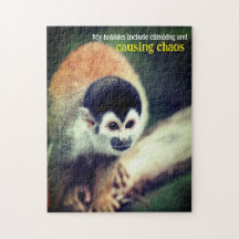 Squirrel monkey in tree