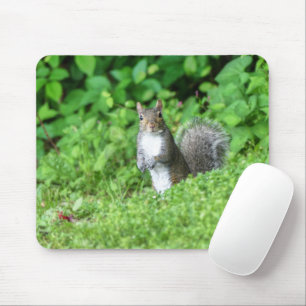 Squirrel Mouse Pad