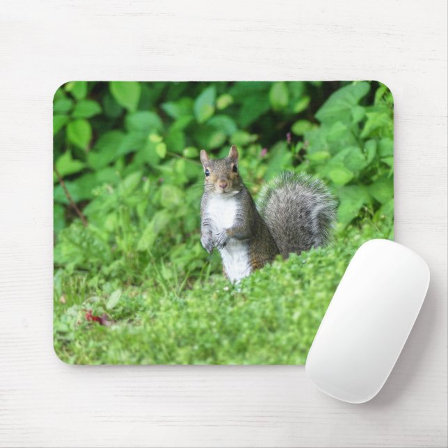 Squirrel Mouse Pad (With Mouse)