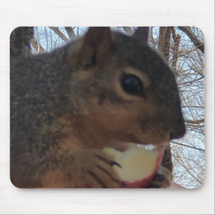 Squirrel  mouse pad