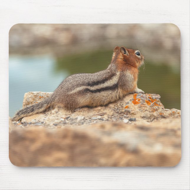 Squirrel Mouse Pad (Front)