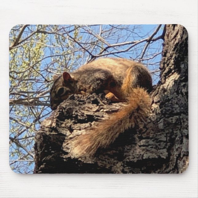 Squirrel Mouse Pad (Front)
