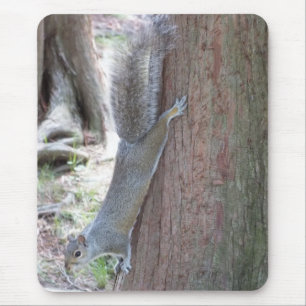 Squirrel Mouse pad