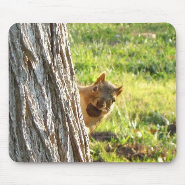 Squirrel mousepad (Front)