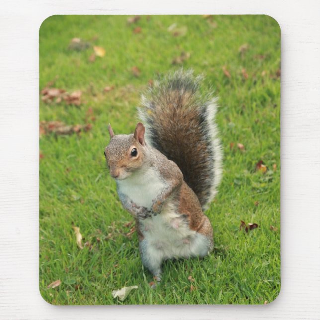 Squirrel Mousepad (Front)