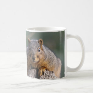 Squirrel mug