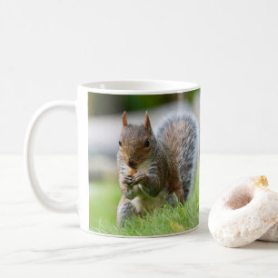 Squirrel mug - adorable grey squirrel
