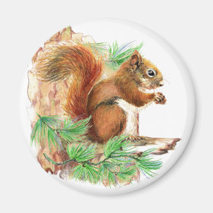 Squirrel Nature Fridge Magnet