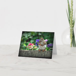 Squirrel note card