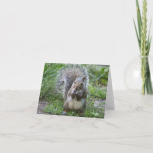 Squirrel Note Card