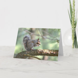 Squirrel Note Card