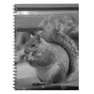 Squirrel Notebook