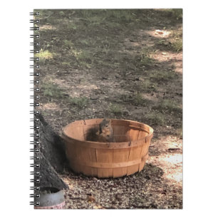 Squirrel notebook