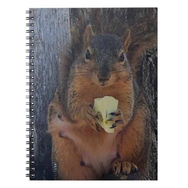Squirrel  notebook (Front)