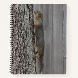 Squirrel Notebook