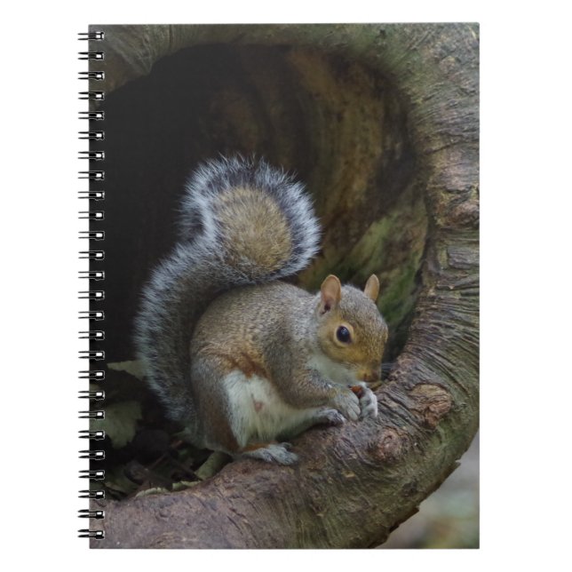 Squirrel Notebook (Front)