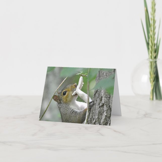 Squirrel Notecard (Front)