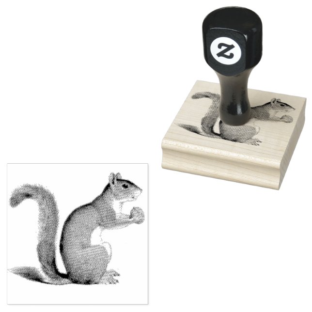 Squirrel Nut Vintage Ilustration  Rubber Stamp (Stamped)