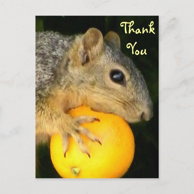 Squirrel of Love_ Postcard (Front)