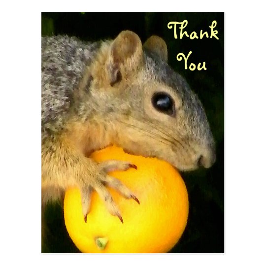 Squirrel of Love_ Postcard