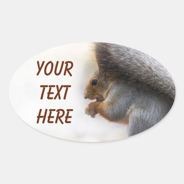 Squirrel on a bench and some nuts oval sticker (Front)